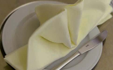 一張餐巾紙的旅行小學(xué)作文