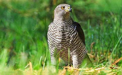 �n������400��3ƪ