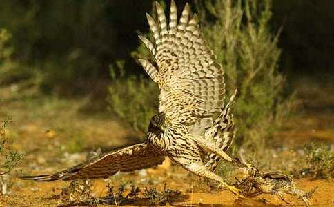 �n������600�ְ�ƪ