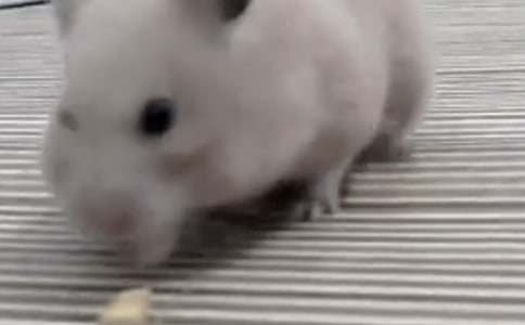 ���˂}����^������