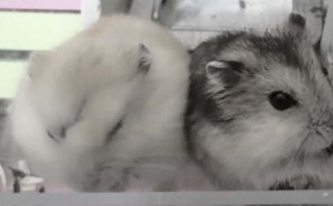 �^��}(c��ng)��ӛ����2ƪ