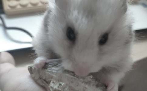 С�W(xu��)Ԓ�}���ģ��^��}��