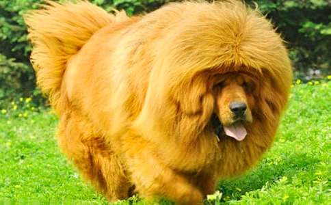 ��������400�֣�ͨ��16ƪ��