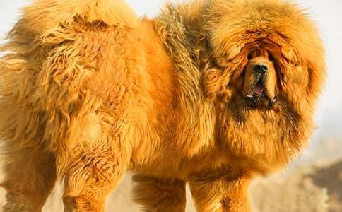 ��������400�֣�ͨ��36ƪ��