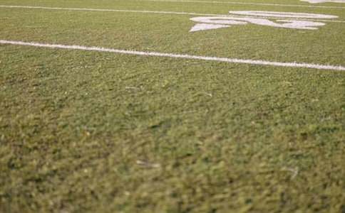 Ŷ����ӛ���е���һƬ�و�����