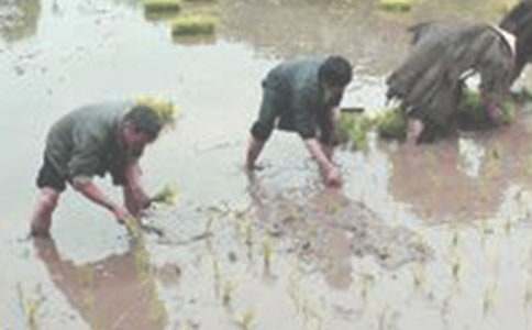 �P(gu��n)�ڲ�������500��15ƪ