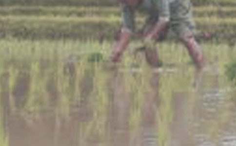 �W��������800��