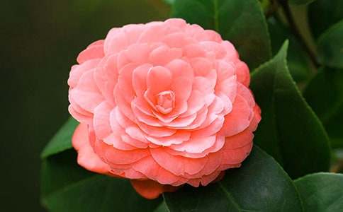 �^��軨������