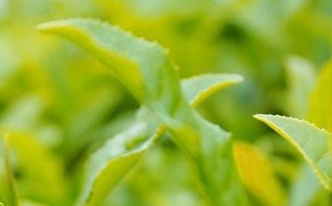 ���~��(y��u)������500��