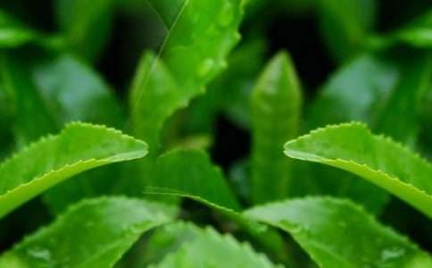 �P(gu��n)�ڲ��~����500��6ƪ