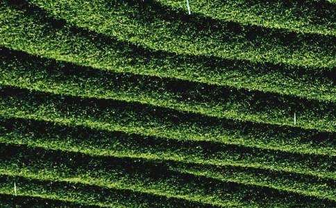 �^����~���ģ�ͨ��25ƪ��