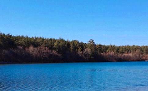 �L(zh��ng)��ɽ������300������