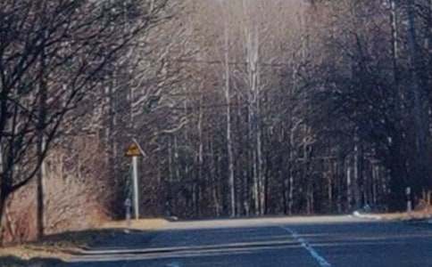 �茑�L��ɽ��صľ�ɫ���ģ�ͨ��35ƪ��