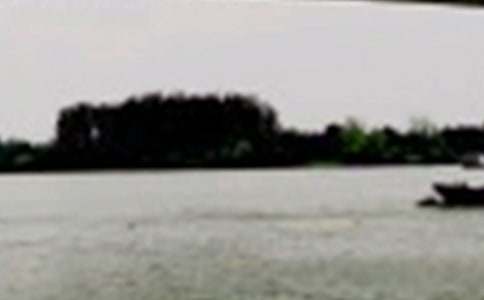 長江暑假作業(yè)答案四年級2015