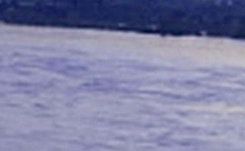 美麗的長(zhǎng)江作文600字