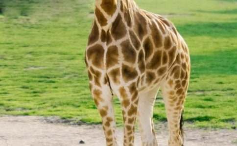 С�L�i¹���L���ӽ���ͯԒ����