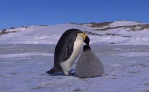 ��Խ�����Đ�����(6ƪ)