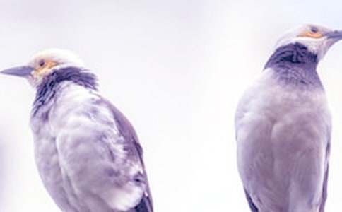 �ְ֋�������������900��