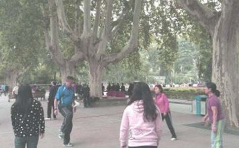 澤園晨練抒情作文