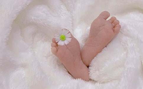 ��������ľ������ģ����x48ƪ��