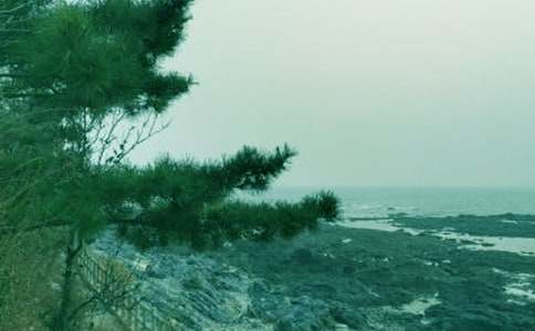 ���б����ڴ��L(f��ng)�(y��u)�����ģ�ͨ��16ƪ��