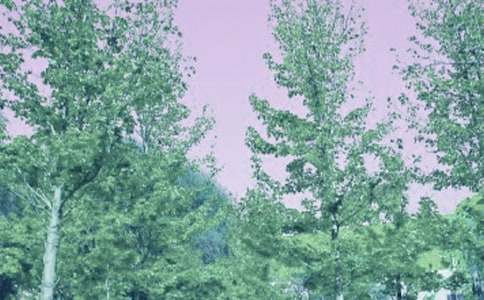 ����ɢ�ģ������L(f��ng)