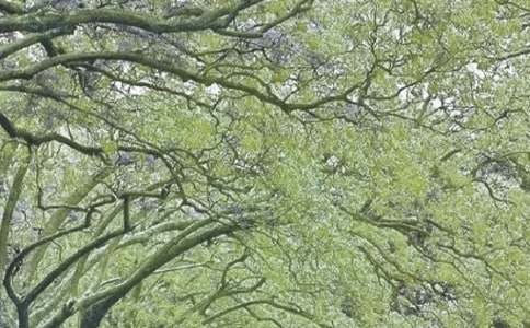 ��һ�|���L(f��ng)���ľ��x