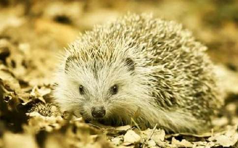 С����όW��ͯԒ����