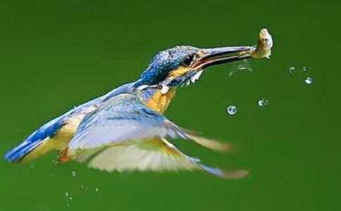 ���B����400�ְ�ƪ