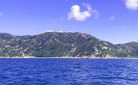 關(guān)于大海抒情作文4篇