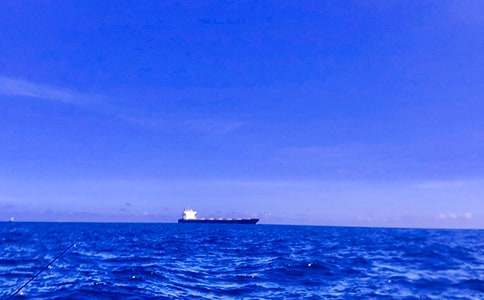 投入大海的懷抱作文2000字