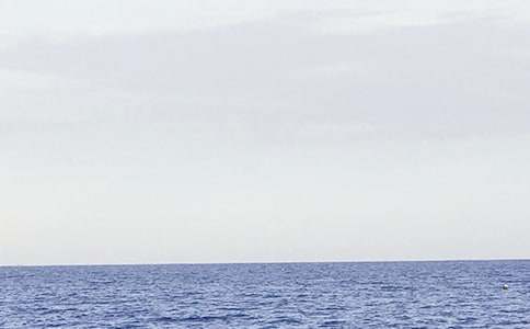 �����x��������������ƪ