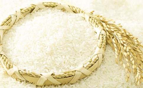 小毛驢馱大米童話作文