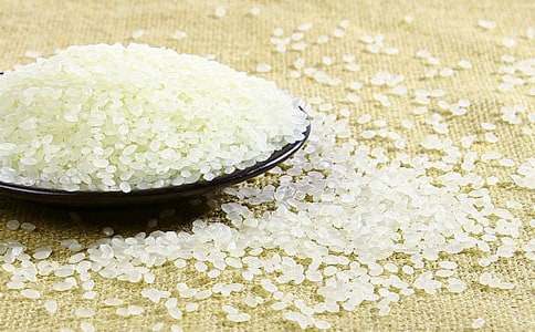 珍惜每一粒大米作文