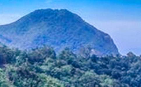 �����е���һ����ɽ550������