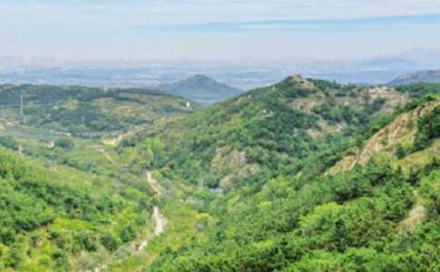 �����Ĵ�ɽ���ģ�ͨ��30ƪ��