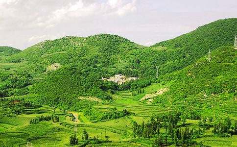  �P(gu��n)�ڴ�ɽ�đ�ŭ����