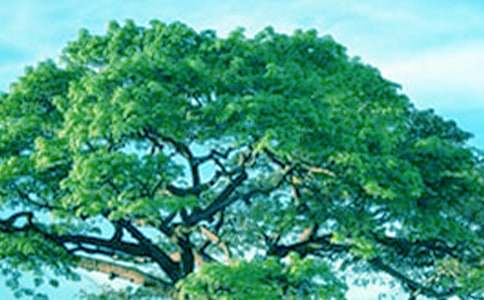 �ְ������ҵĴ��(sh��)���ģ����x31ƪ��