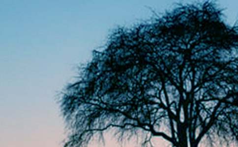 ���������l(f��)���������