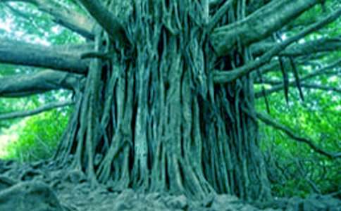 �ְ��Ǵ������