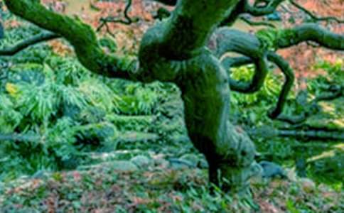 ���������������