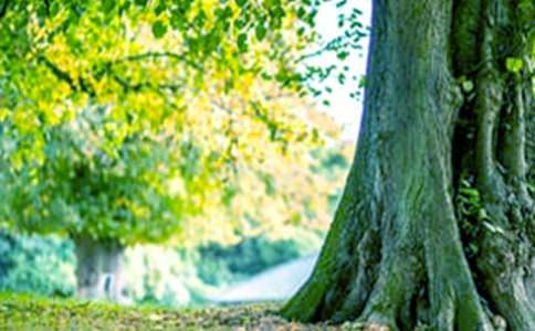 ���������������