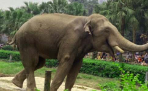 ���õĴ���ͯԒ���ĺϼ�5ƪ