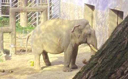 �����T������ͯԒ����32ƪ