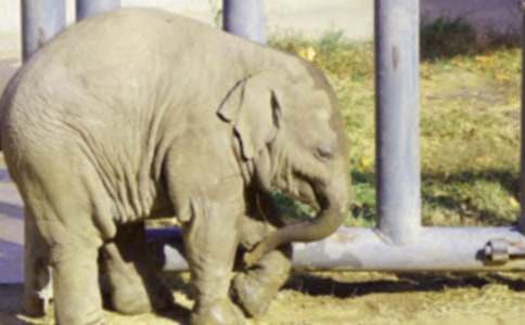 �����A������ͯԒ������ƪ