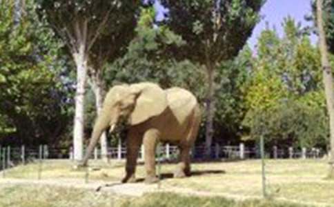 ����ͯԒ���ąR��(6ƪ)