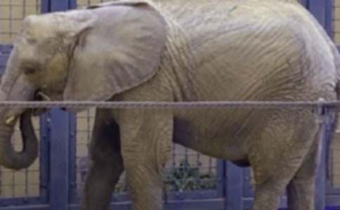 �������ģ��Ǻʹ���