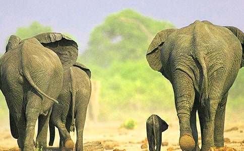 �Ǻʹ�������4ƪ