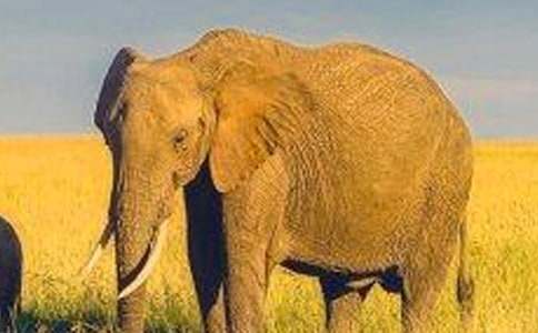 ���x����ͯԒ�����\��5ƪ