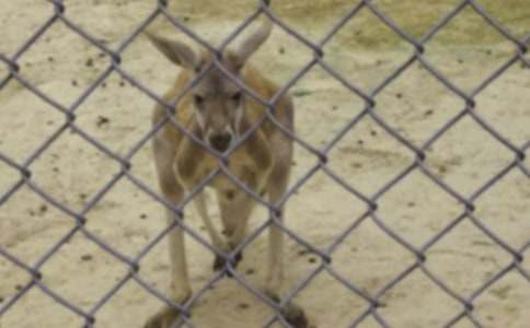 2015��ͯԢ�Թ��£������c�\��